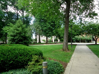 The College of New Jersey (TCNJ) 52