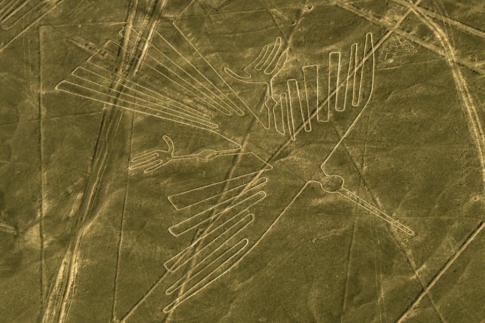 The Condor (226411781)