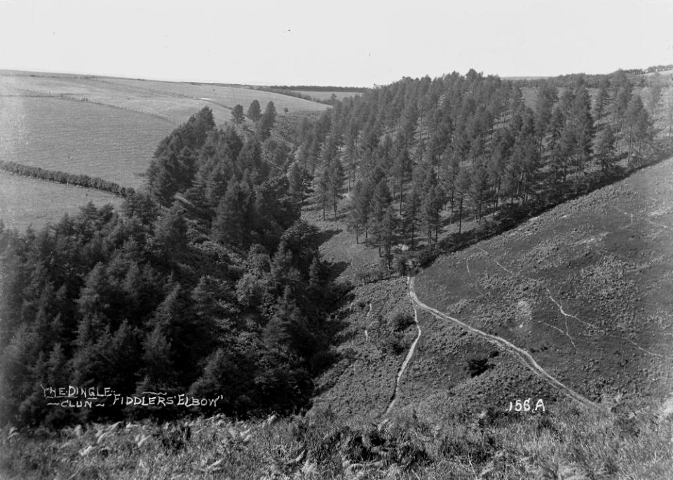 The dingle Clun "Fiddlers Elbow" (1294423)