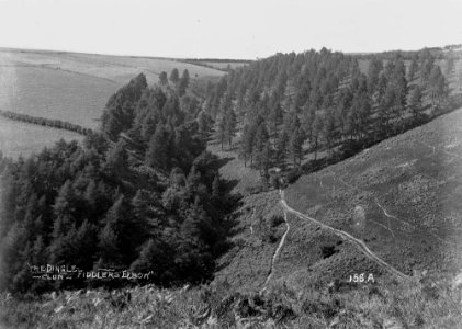 The dingle Clun "Fiddlers Elbow" (1294423)
