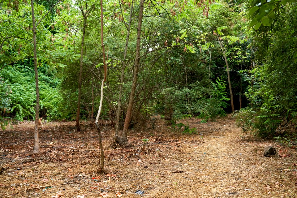 The dry riverbed of Ilissos next to the Church of Saint Fotini on August 8, 2020