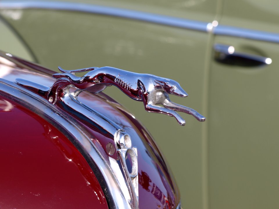 The Classic Greyhound hood ornament from a 1930s Ford V8