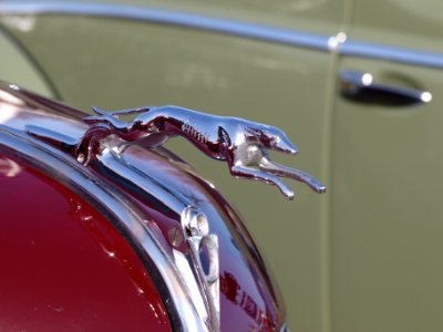The Classic Greyhound hood ornament from a 1930s Ford V8