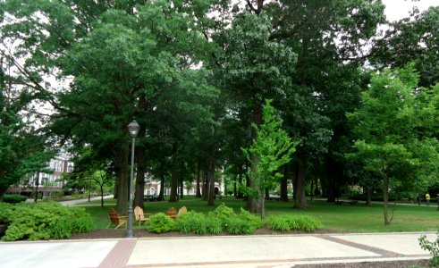 The College of New Jersey (TCNJ) 17