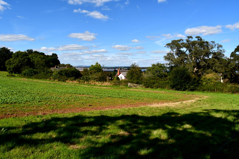 The Old Schoolhouse