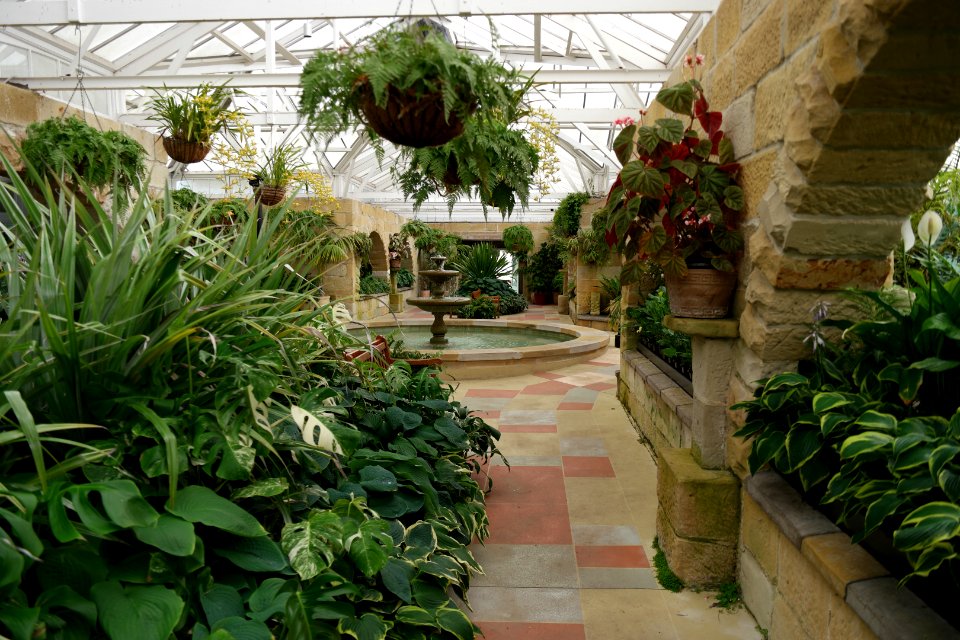 The Conservatory, Royal Tasmanian Botanical Gardens 02