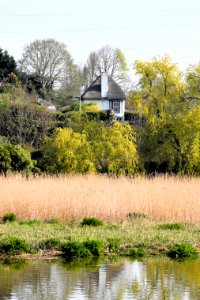 The Old Glasshouse (1)