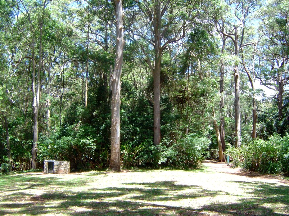 The Knoll picnic area Tamborine Mountain