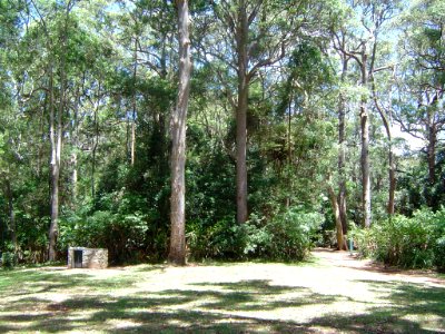 The Knoll picnic area Tamborine Mountain
