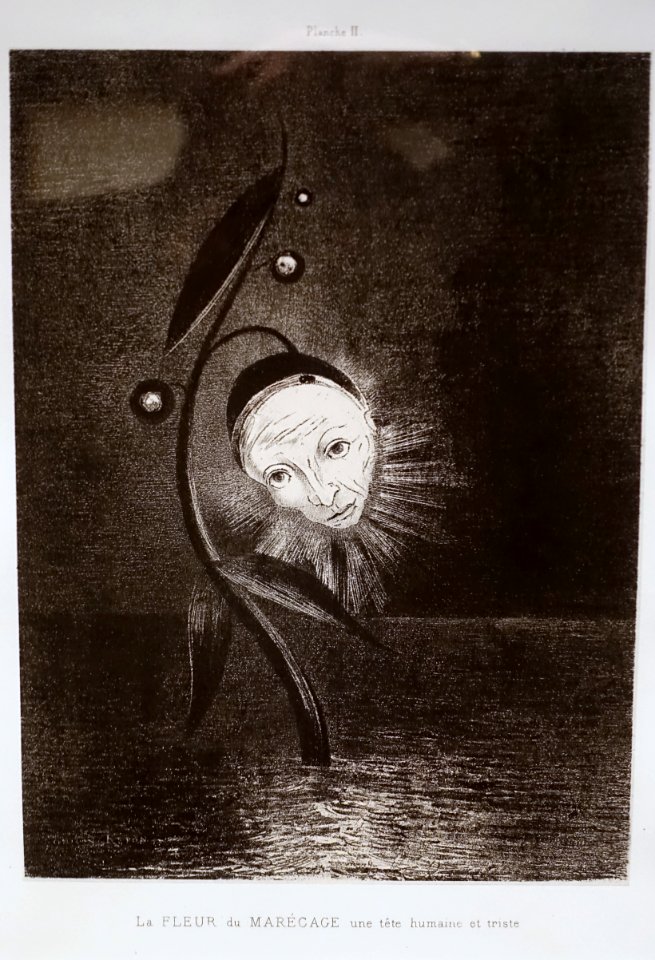 The Marsh Flower, a Sad, Human Head, Plate 2 from Homage to Goya, by Odilon Redon, 1885, lithograph, only state - Montreal Museum of Fine Arts - Montreal, Canada - DSC08902