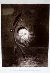 The Marsh Flower, a Sad, Human Head, Plate 2 from Homage to Goya, by Odilon Redon, 1885, lithograph, only state - Montreal Museum of Fine Arts - Montreal, Canada - DSC08902 photo