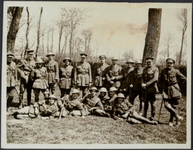 The officers, Newfoundland Regiment, Bestanddeelnr 158-1670
