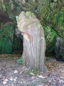 The Omo-ishi mo'o stone, Spalding House gardens (Honolulu)