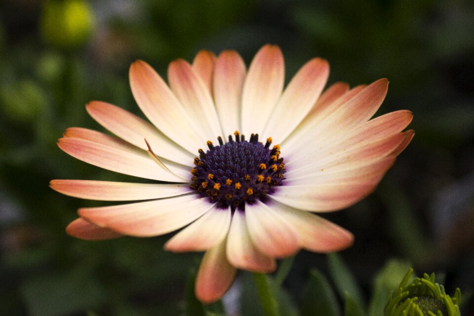 Perfect colors white