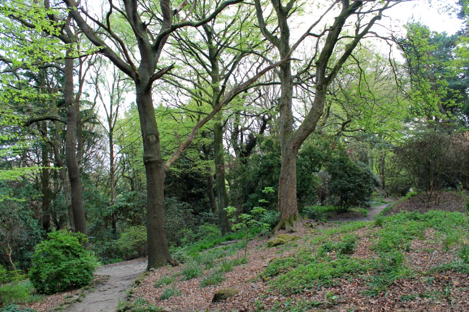 The Hollies 2019-04-23 (9)