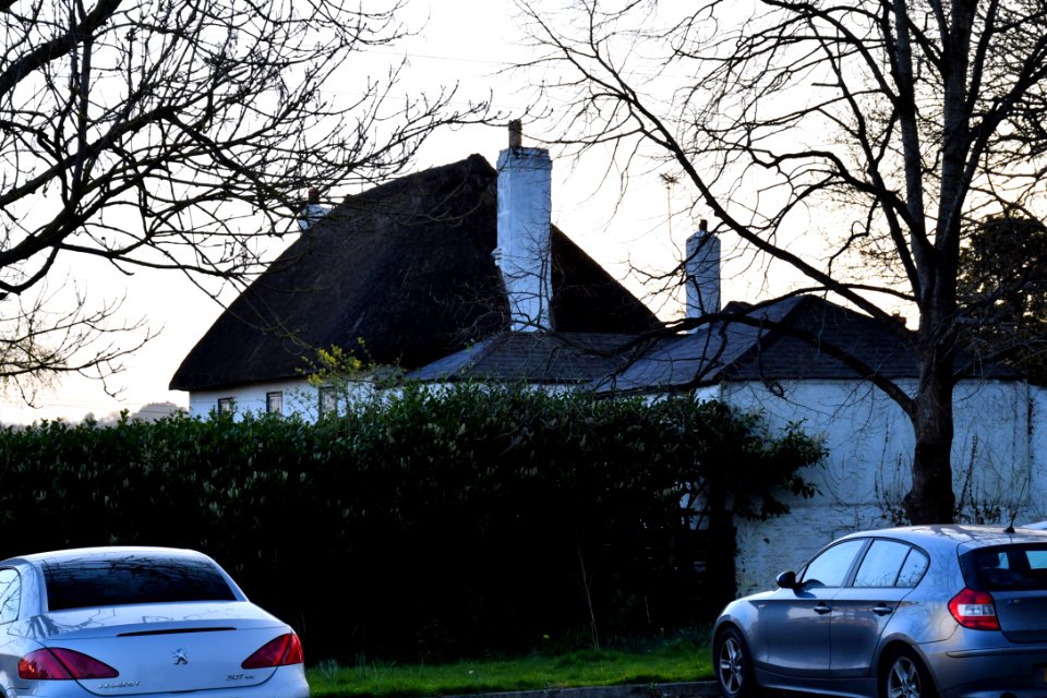 The Old Glasshouse