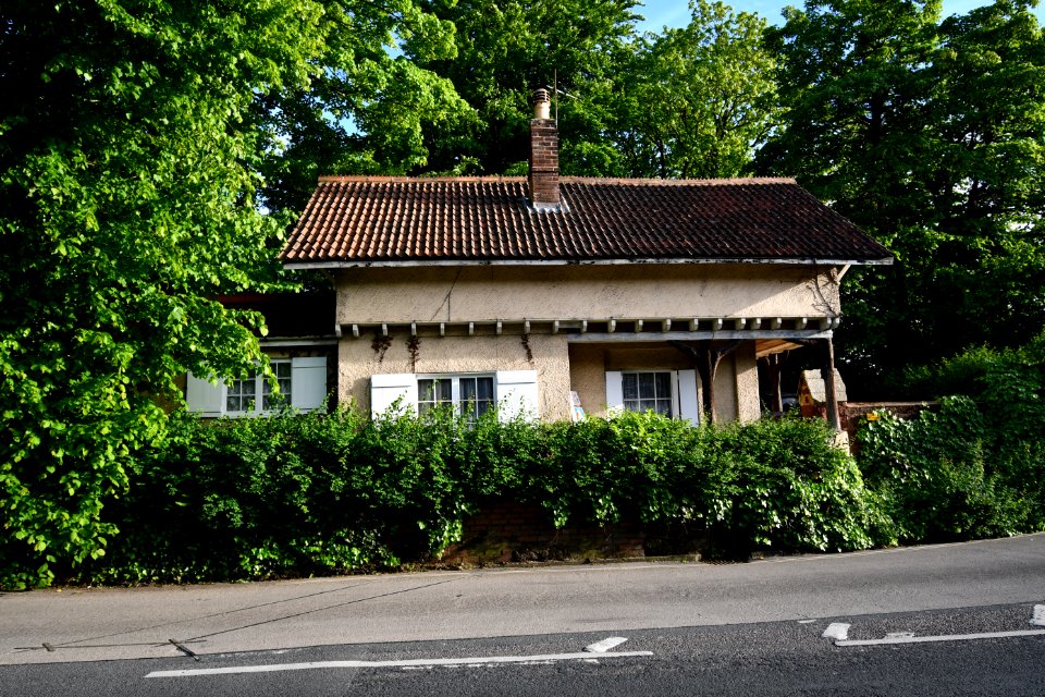 The Lodge (2)