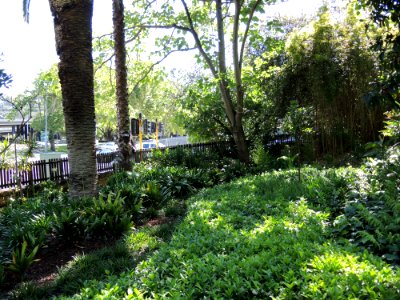 The Gardens at Bishops See (Bishop's House, Perth) 08 (E37@OpenHousePerth2014)