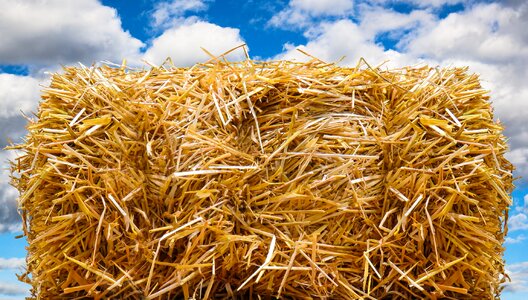 Field harvest straw role