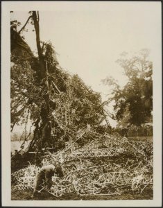 The Flying Corps Royal Flying Corps (R.F.C.) examining the wreckage, Bestanddeelnr 158-2589