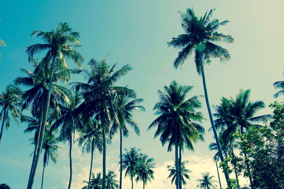 Vacations wave nature
