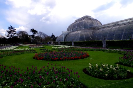 The Palm House in Kew Gardens photo