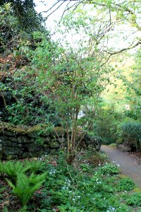 The Hollies, Weetwood 2019-04-22 (20)