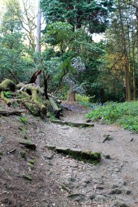 The Hollies, Weetwood 2019-04-22 (8)