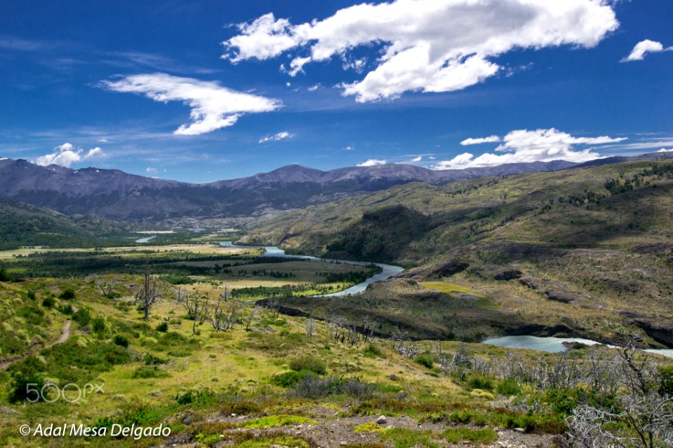The Paine River (231780173)