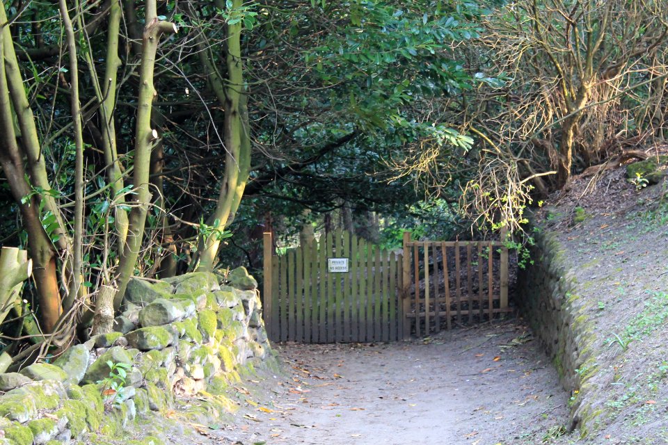The Hollies, Weetwood 2019-04-22 (16)