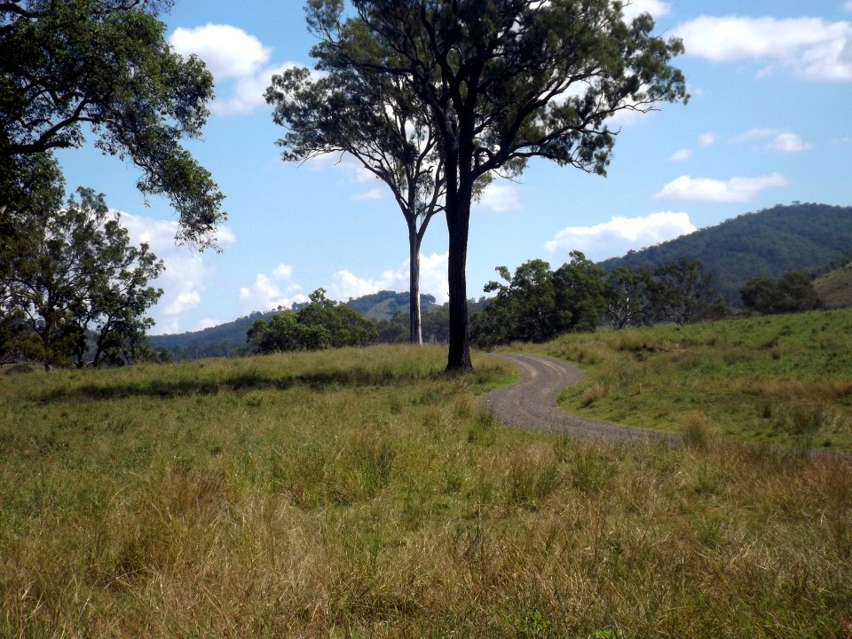 The Hollows Road at Josephville, Queensland