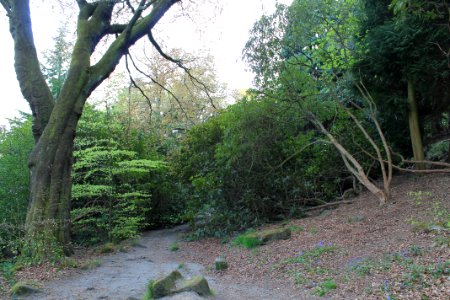 The Hollies, Weetwood 2019-04-22 (5)