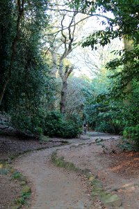 The Hollies, Weetwood 2019-04-22 (24)