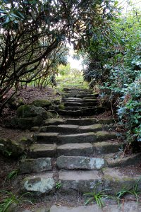 The Hollies, Weetwood 2019-04-22 (13)