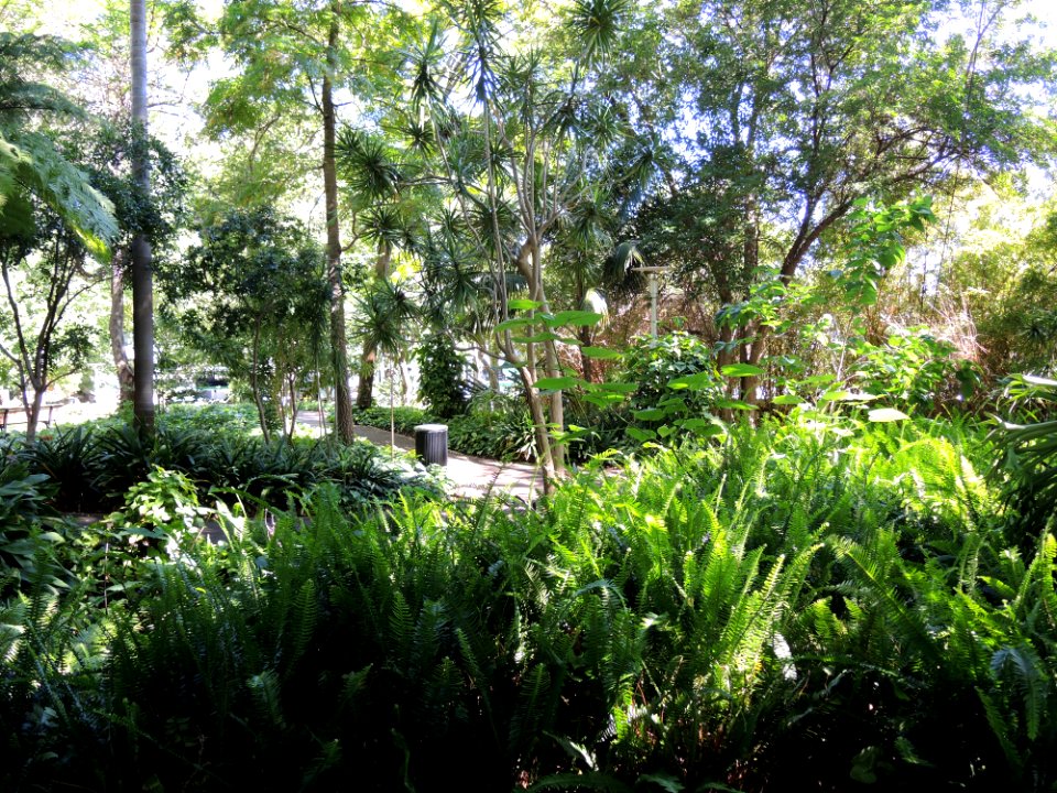 The Gardens at Bishops See (Bishop's House, Perth) 04 (E37@OpenHousePerth2014)