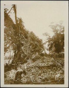 The Flying Corps Royal Flying Corps (R.F.C.) examining the wreckage, Bestanddeelnr 158-2587