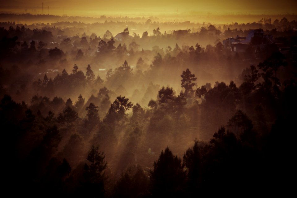 The Foggy Town (43302376)