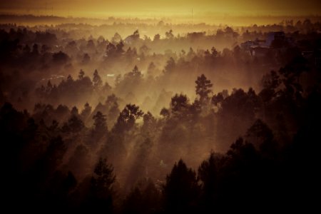 The Foggy Town (43302376)