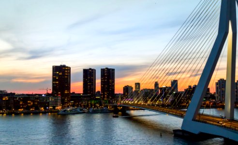 The Erasmus Bridge (224269705) photo