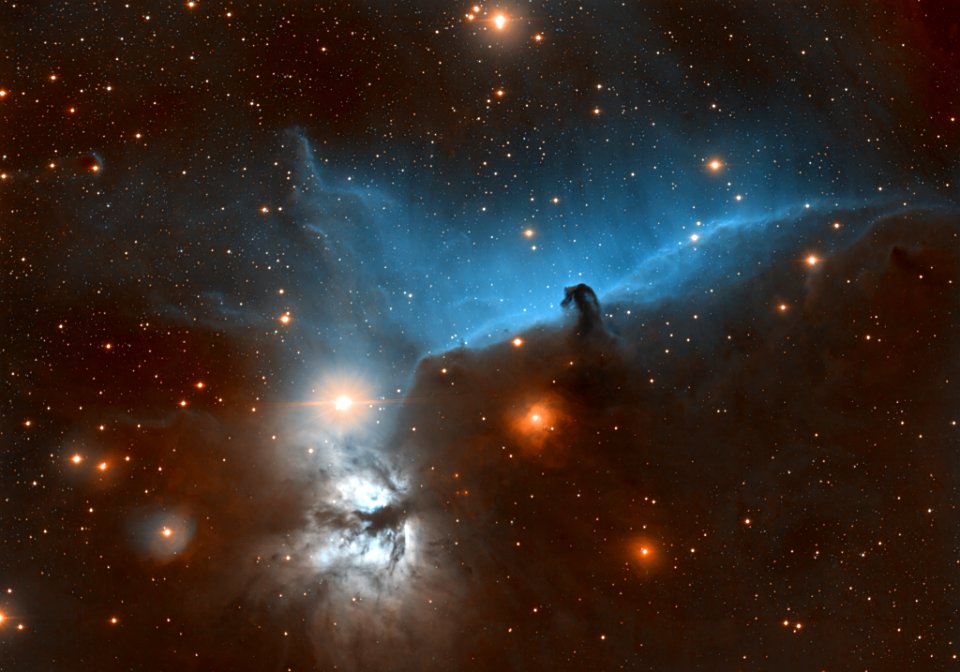 The Horsehead Swims in Hydrogen