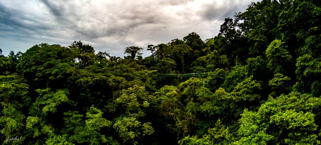 The Hanging Bridges (260578315)