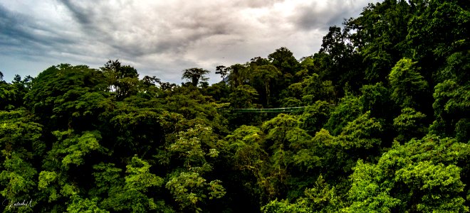 The Hanging Bridges (260578315) photo