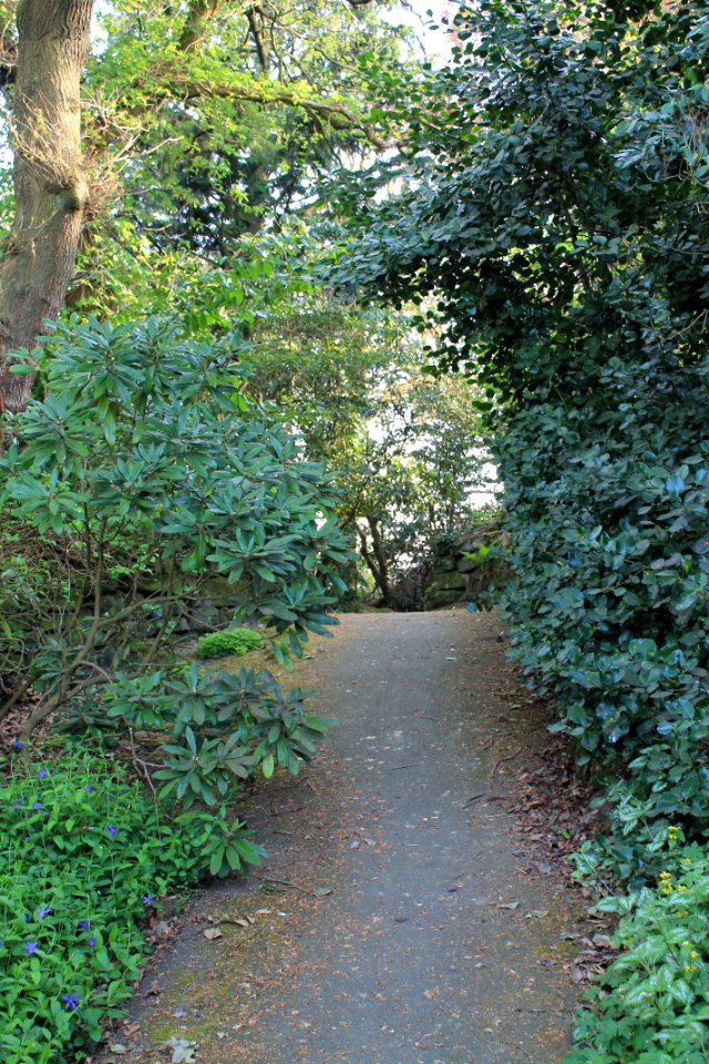 The Hollies, Weetwood 2019-04-22 (18)