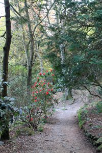 The Hollies, Weetwood 2019-04-22 (7)