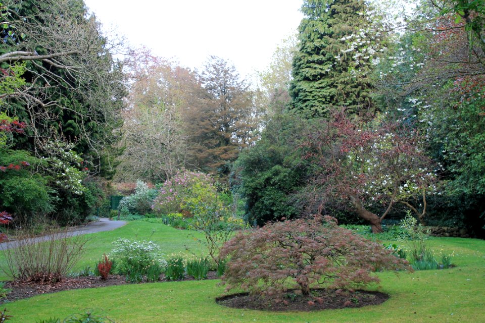 The Hollies 2019-04-23 (6)