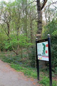 The Hollies 2019-04-23 (7)