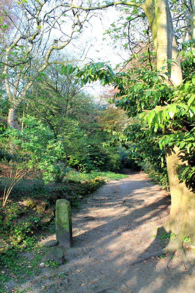 The Hollies, Weetwood 2019-04-22 (26)