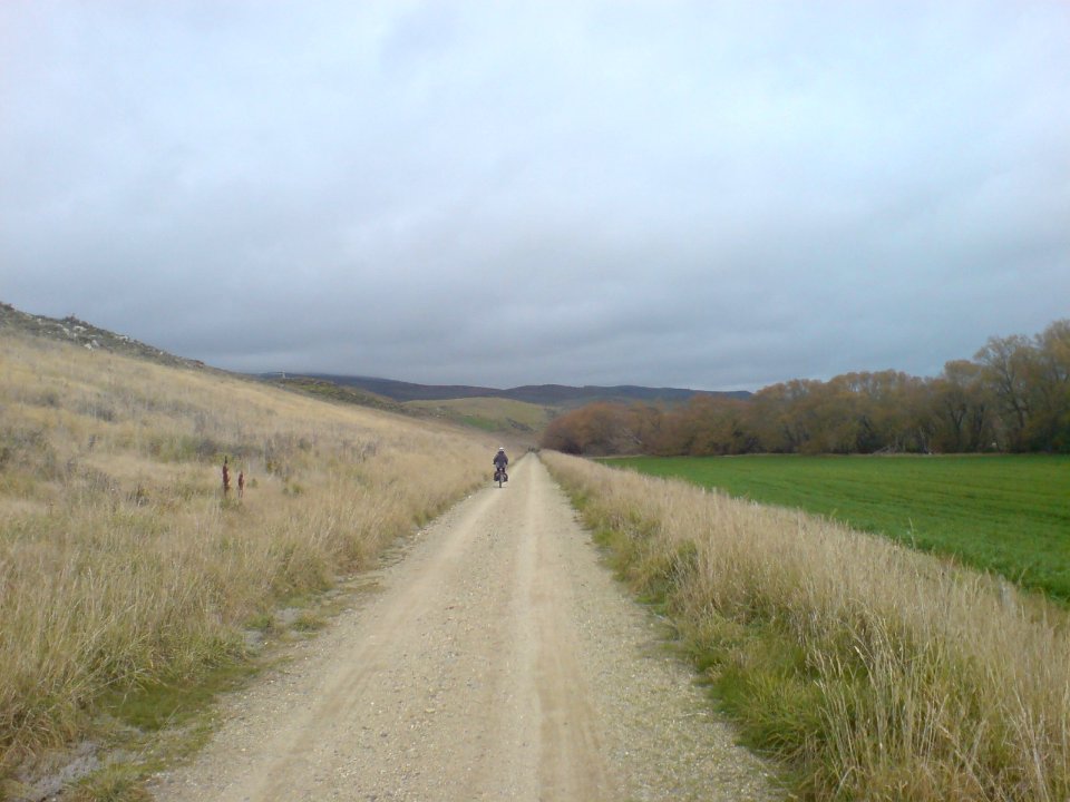 The Green And The Bleached White Trail