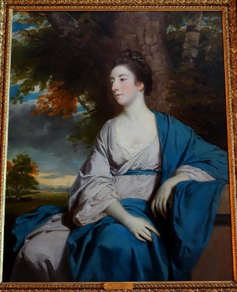 The Hon. Mary Vernon, Mrs George (Adams) Anson, by Joshua Reynolds, 1763-1764, oil on canvas - Saloon - Shugborough Hall - Staffordshire, England - DSC00392