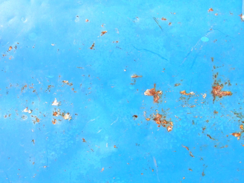 Texture - P7270424